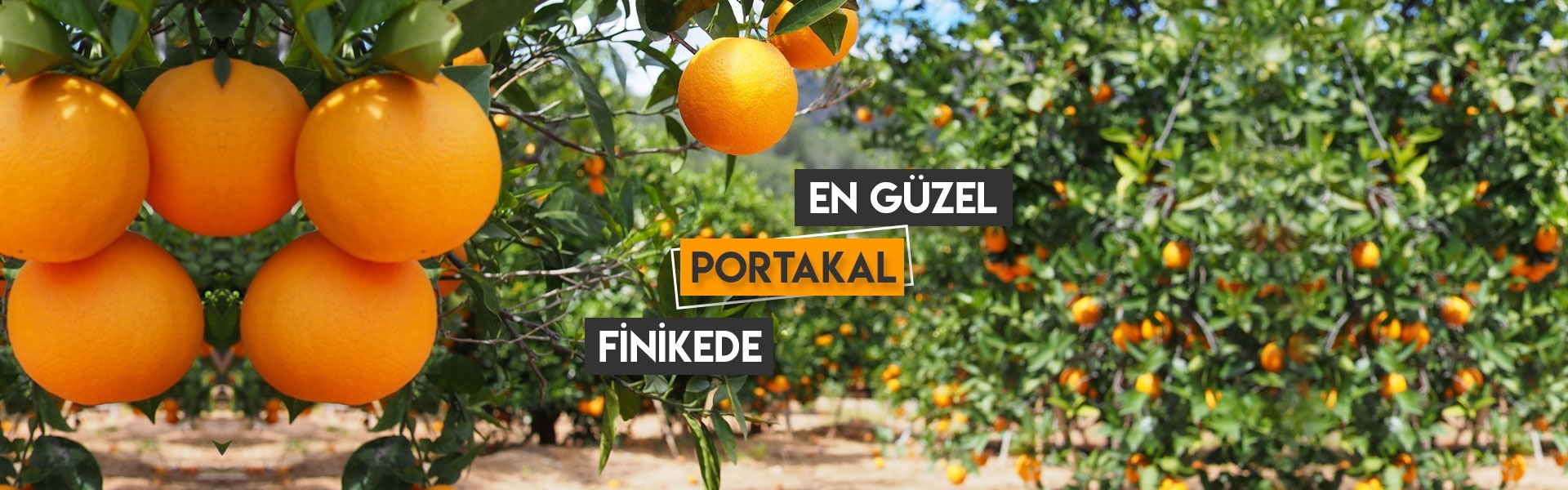 Bütün bir yılın yorgunluğunu atmak, şehrin gürültüsünden uzak, sakin,temiz, güvenli bir tatil yapmak,Dinlenirken eğlenmek, tarih ve doğa ile içiçe yaşamak istiyorsanız doğru adrestesiniz ....   Gönlünüze göre bir tatil ortamı sağlamaktadır. Denize 100 Mt.
